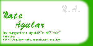 mate agular business card